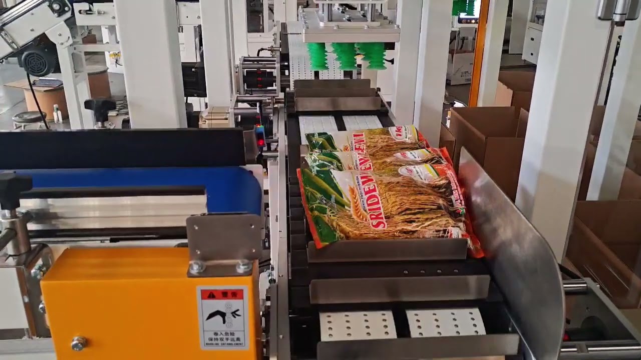 High speed Case packer for food bags #palletizer #machine #packagingautomation #casepacker 