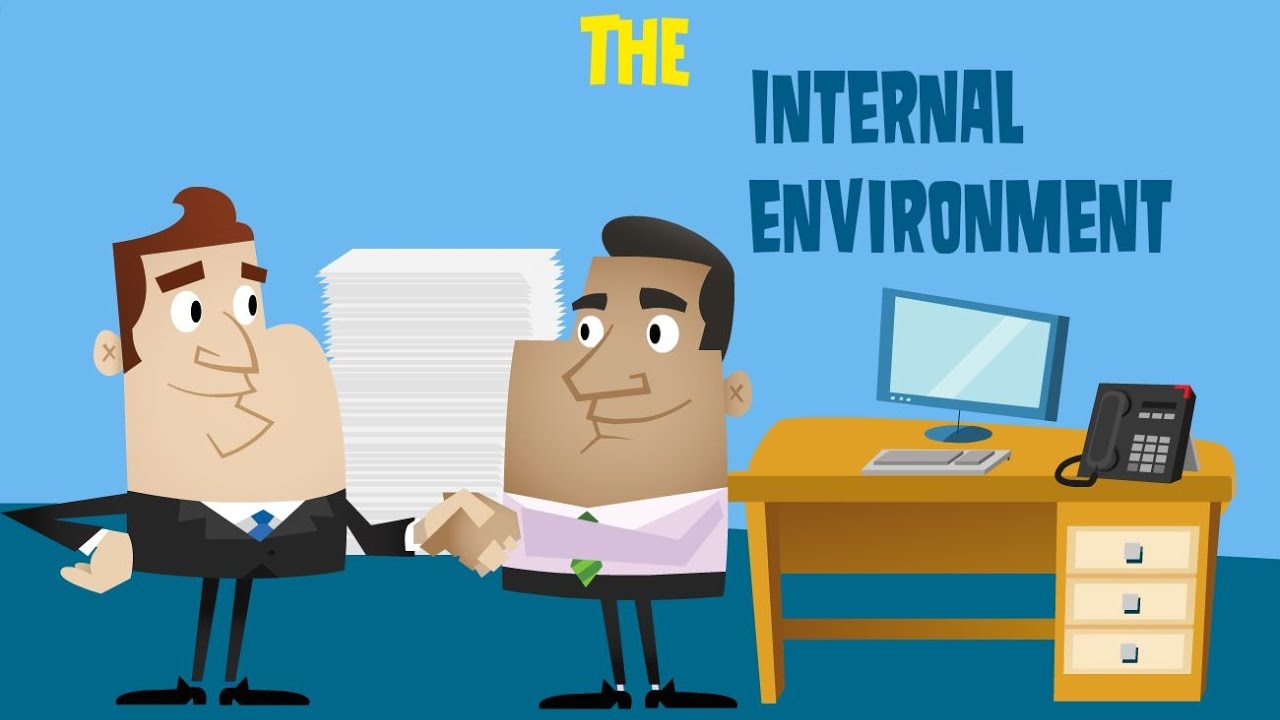 The internal environment of the business environment (part 4 The Business Environment)