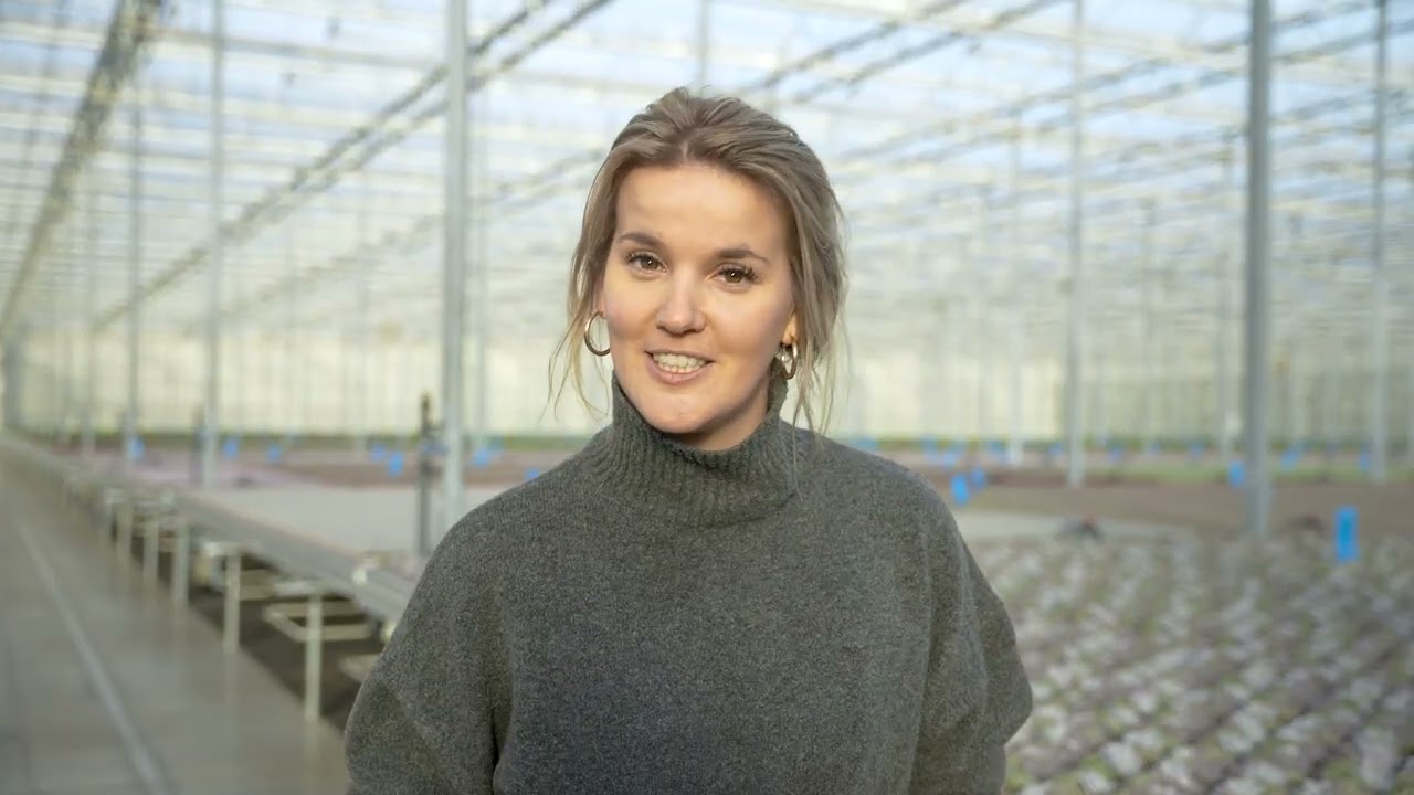 Wervingscampagne: Introductie branche en Green Solutions