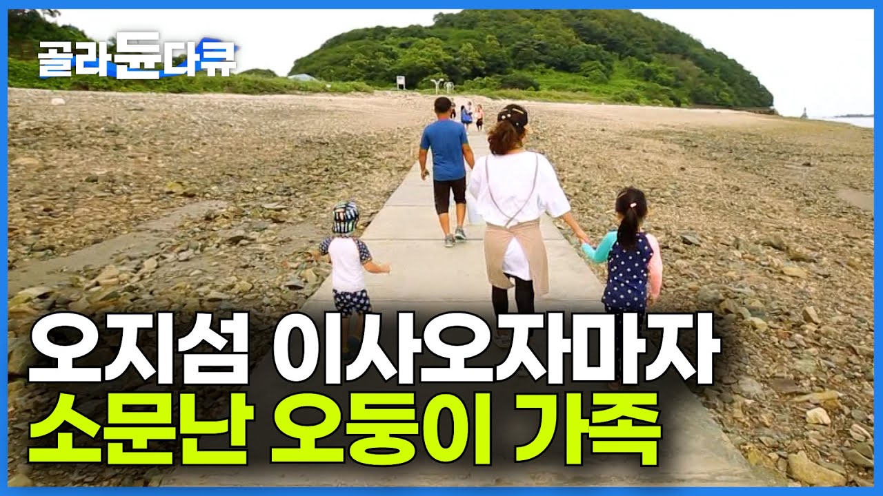70가구 사는 오지섬... 다둥이 가족 등장에 오지섬 분위기가 확 바뀌었다ㅣ오남매와 섬에서 살아가는 가족 이야기ㅣ한국기행│#골라듄다큐