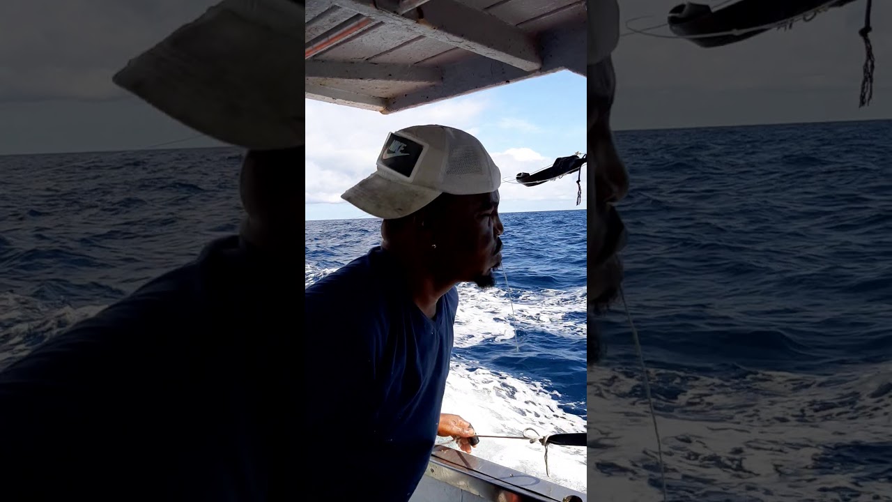 Baracuda fishing on curacao