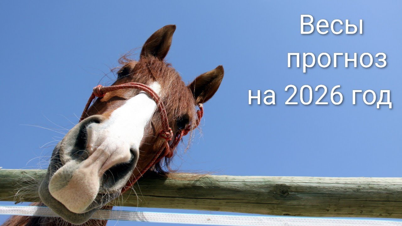 Весы Таро прогноз на 2026 год!!!
