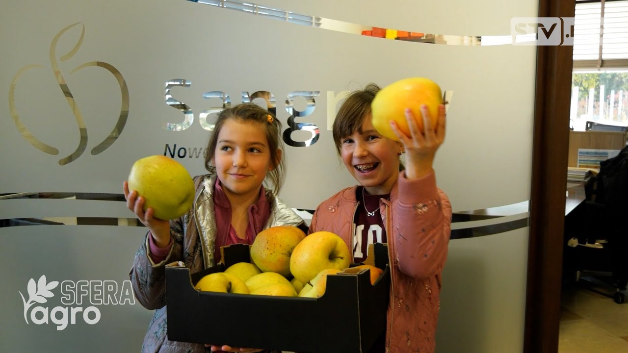 agroSFERA: Gigantyczne jabłko z Głazowa robi wrażenie