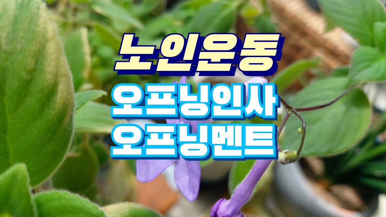(즐거운우리집)주간보호오프닝멘트가 궁금해요