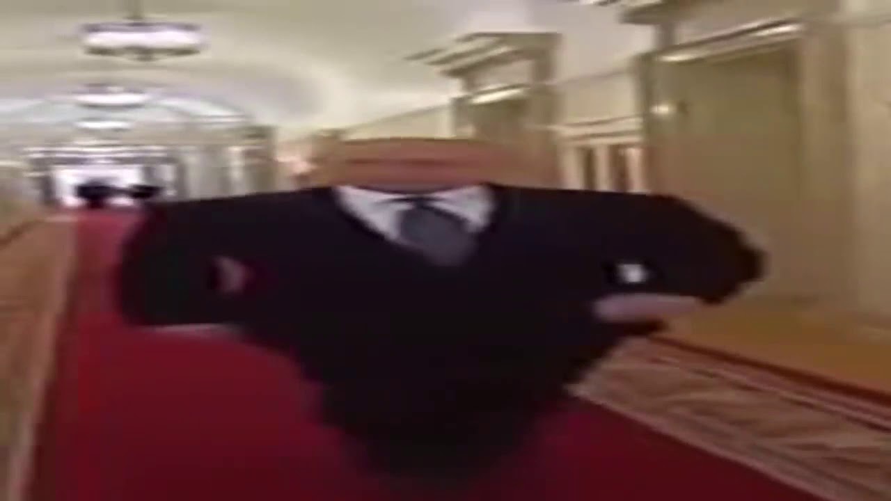 Wide Putin Walking For 10 hours (Bass Boosted)