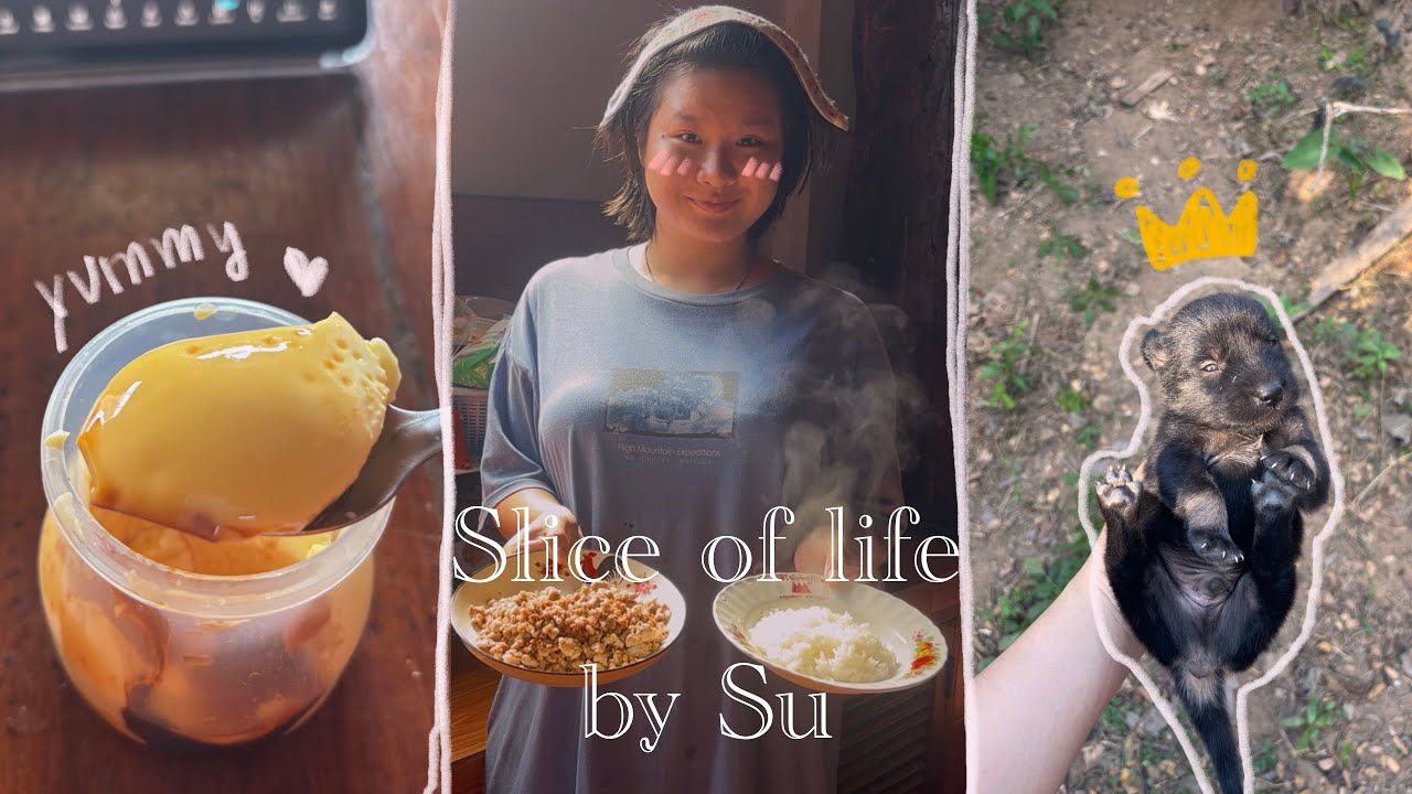 Slice of life by Su | สัปดาห์ยุ่งๆ ทำอาหาร,หมาน้อยเกิดใหม่, งานในฟาร์มไก่, เคลียร์กล่องพัสดุ