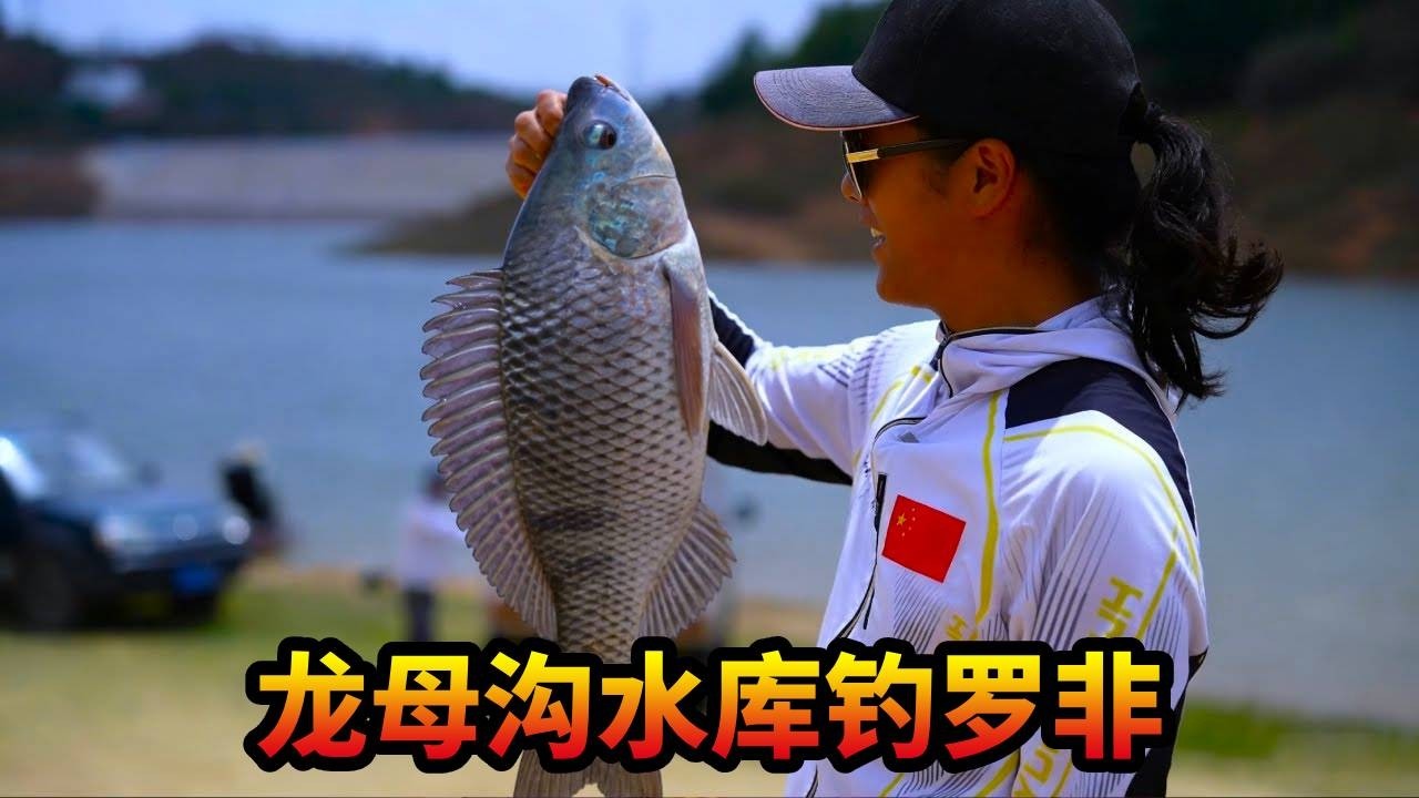 龙母沟水库钓罗非，彩云之南开启钓鱼人不一样的垂钓之旅！ #游钓黑坑 #水库 #钓鱼🎣 #云南 #爱生活爱钓鱼