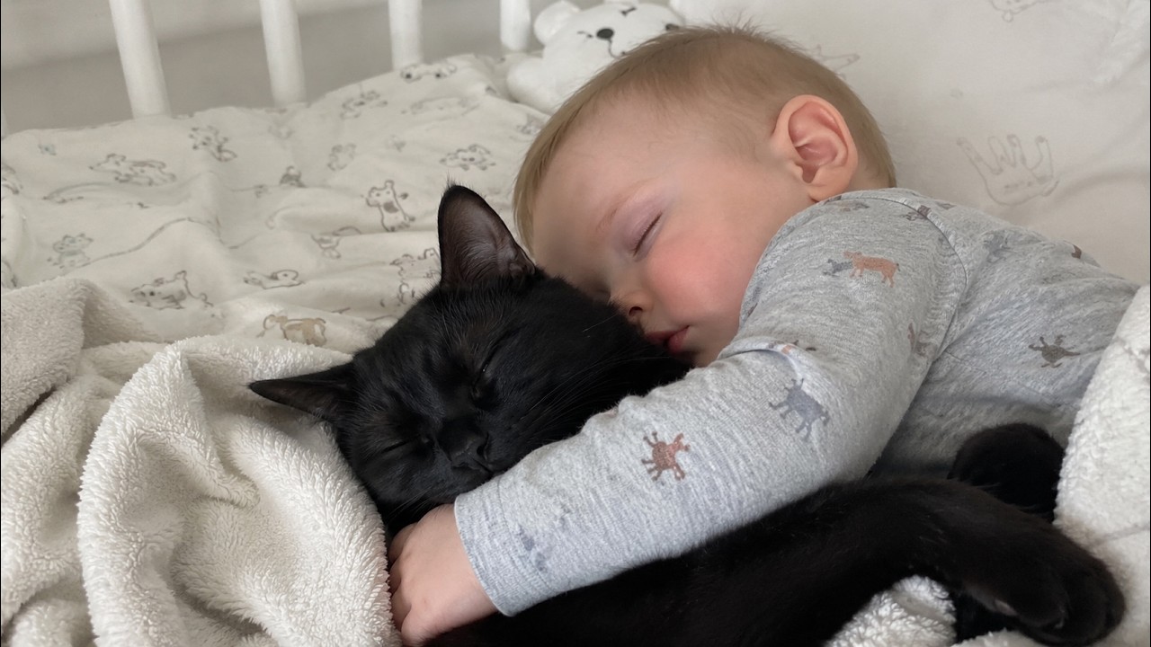 This Cat Chose the Baby and Became Her Tiny Guardian