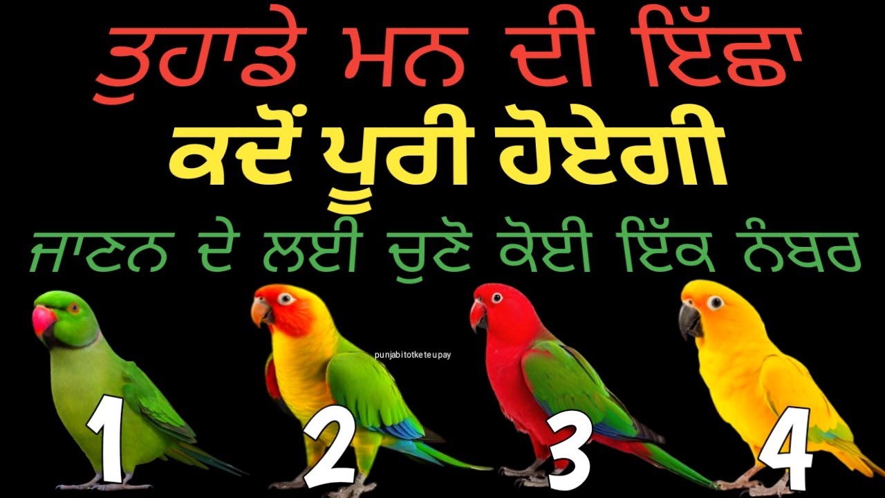 Tarot Card Reading 💫✨/ਤੁਹਾਡੀ ਮਨ ਦੀ ਇੱਛਾ ਕਦੋਂ ਪੂਰੀ ਹੋਏਗੀ ਜਾਣਨ ਦੇ ਲਈ ਚੁਣੋ ਕੋਈ ਇੱਕ ਨੰਬਰ #tarotreading