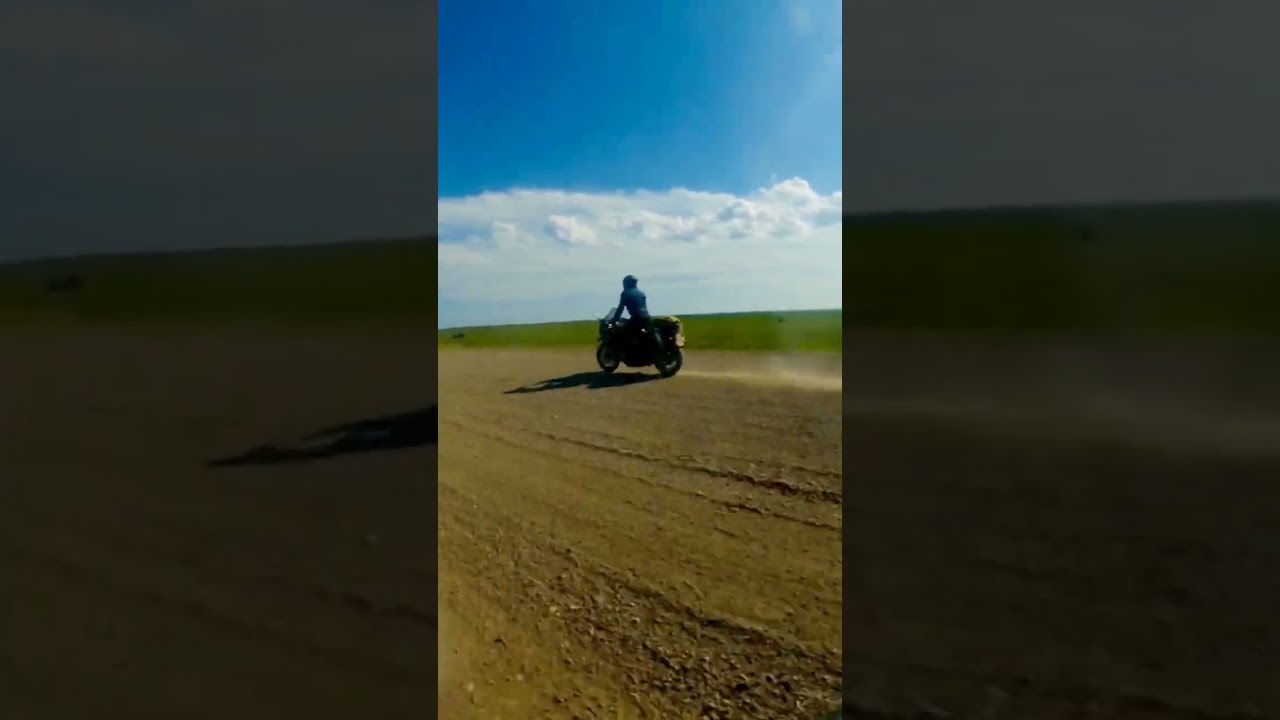 Dempster Diving