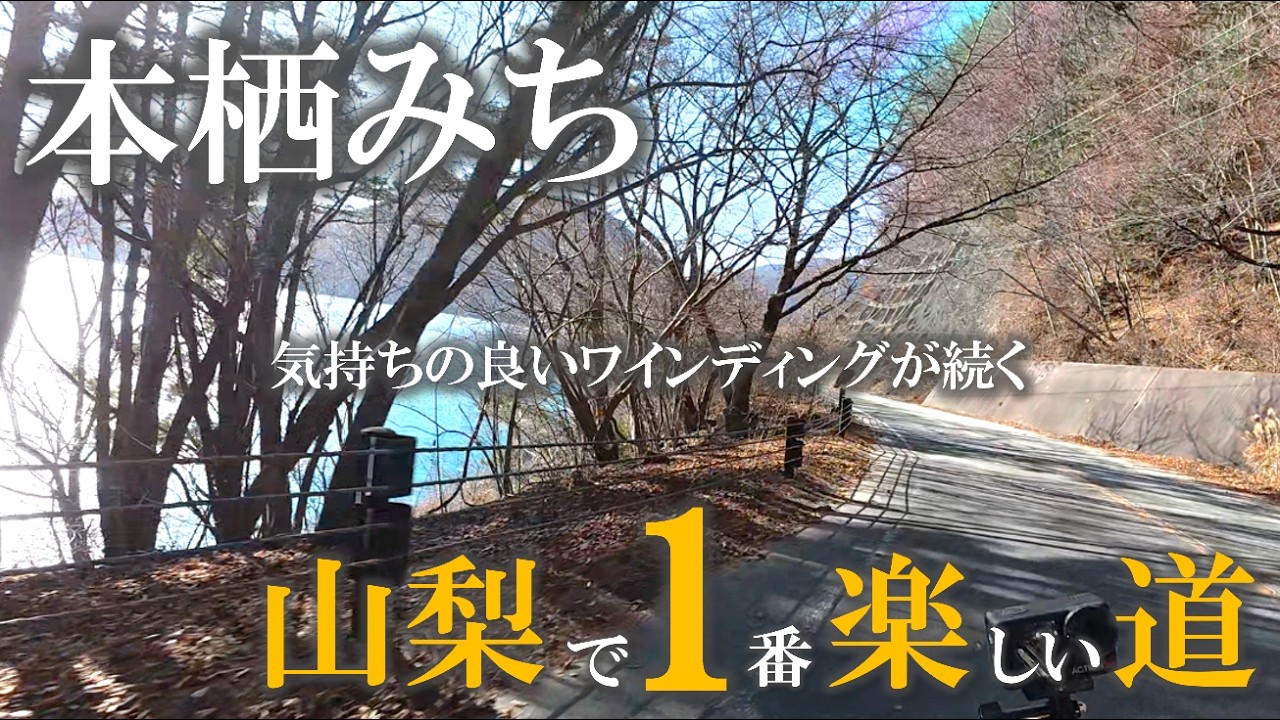 道志みちより楽しい!?ゆるキャン△でも登場したワインディングロード「本栖みち」は山梨ツーリングで絶対に走っておきたい道だった