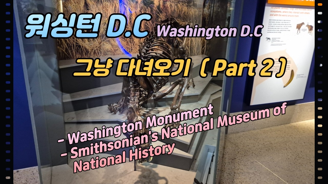 워싱턴 D.C (2) 그냥 다니기. (Washington D.C. city tour) - 워싱턴 기념탑, 국립자연사박물관
