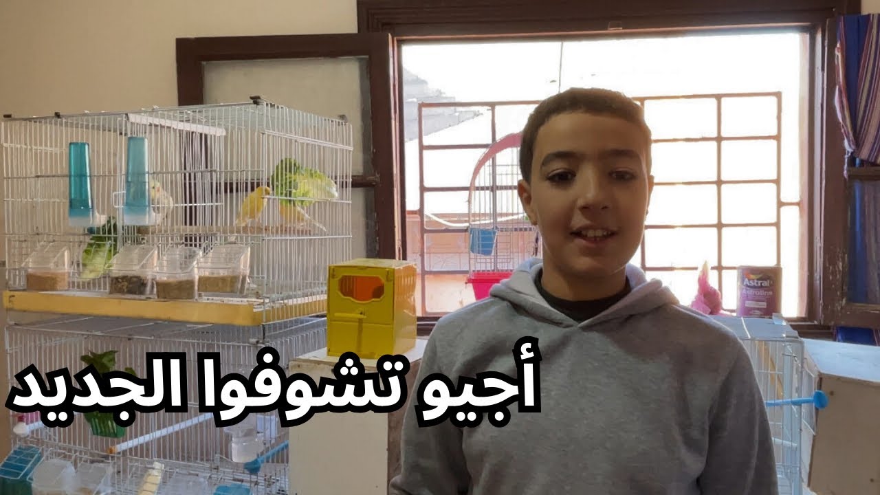 ليوم جاو طيور جداد 🫨 بادينا الماكلة ديالهم 👌