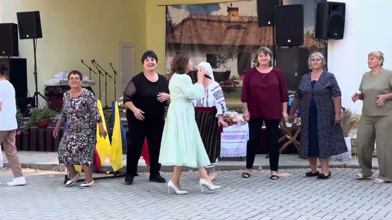 Veselie mare în zi de sărbătoare în satul meu de baștină ȘERPENI