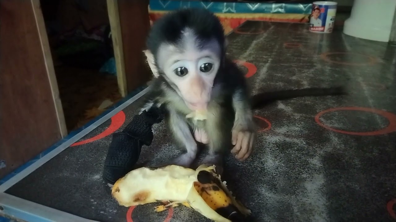 Kaon kapiyot Aron dili ka ma broder🤣