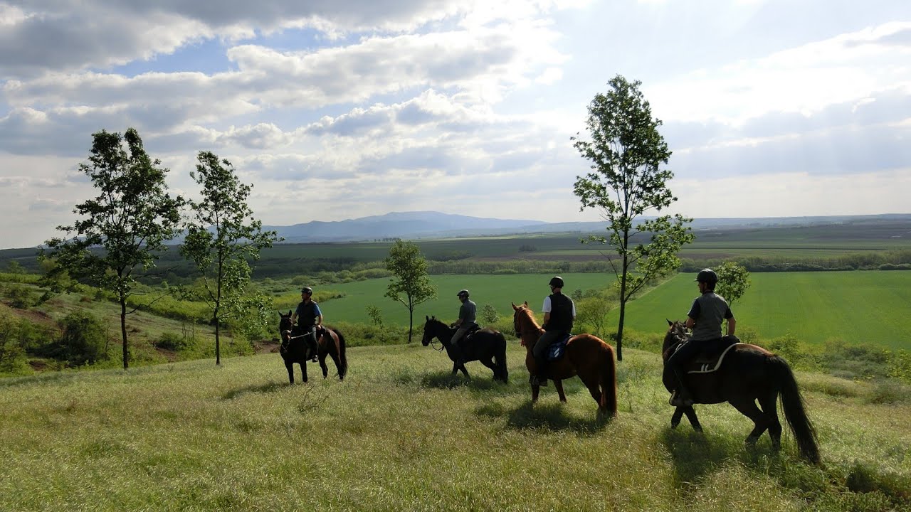 Wanderreiten in Ungarn - Teil 2 (2014)