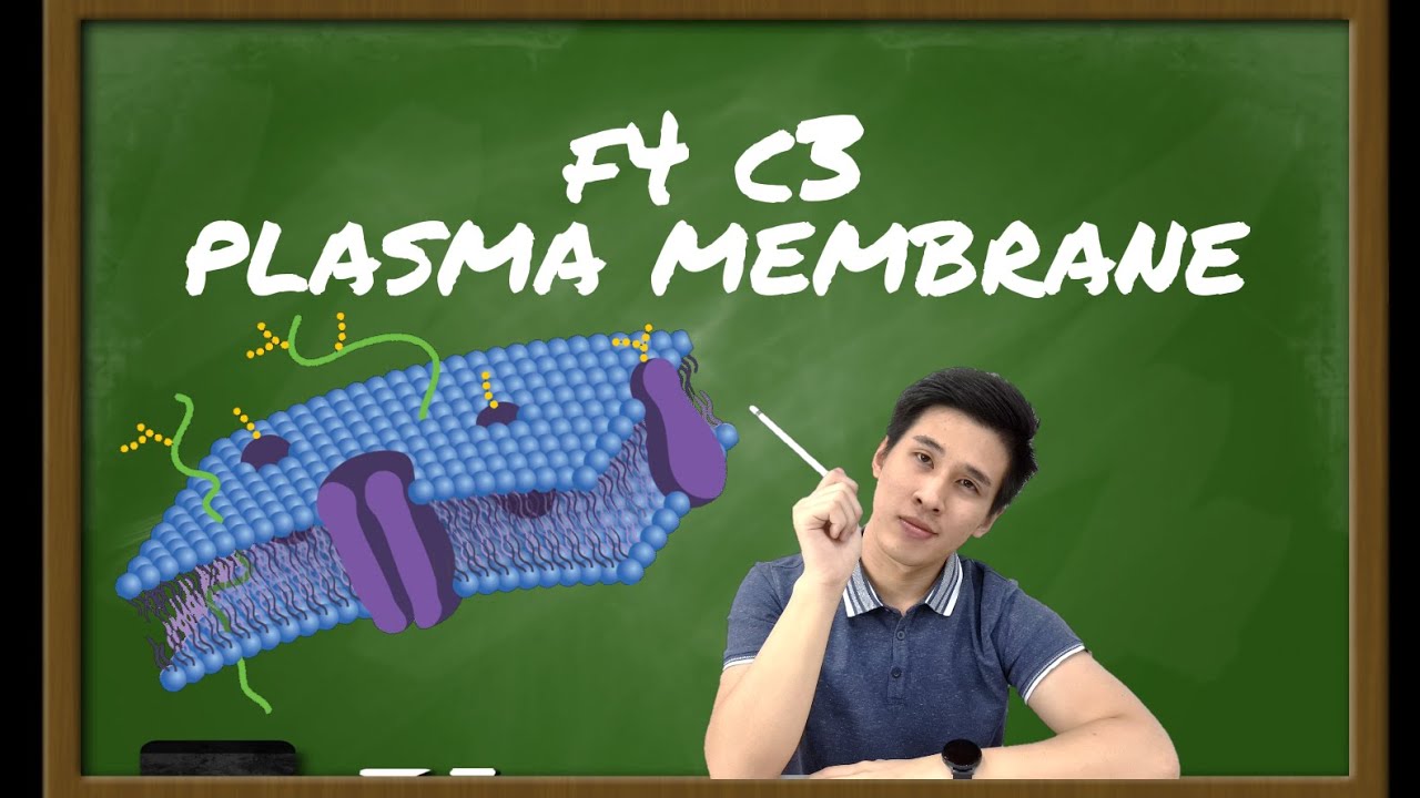 【华语】F4 C3 PLASMA MEMBRANE - 只需会4样东西