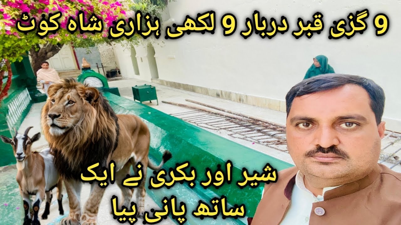Sheir aur bakri ne aik sath pani piya#9 gazi qabar #darbar 9 lakh hazari #shahkot#lionandgot#bakri#