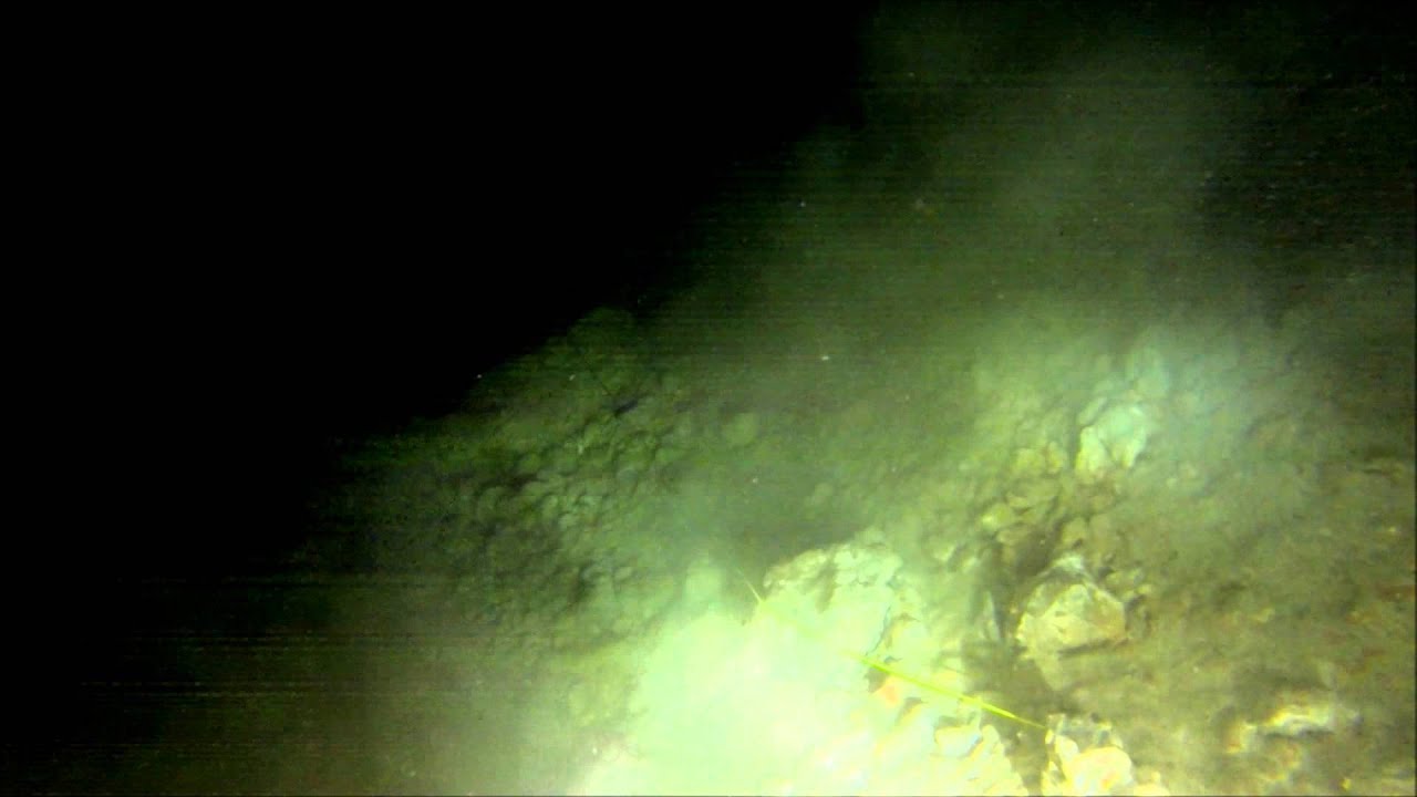 Cave Diving silt out.