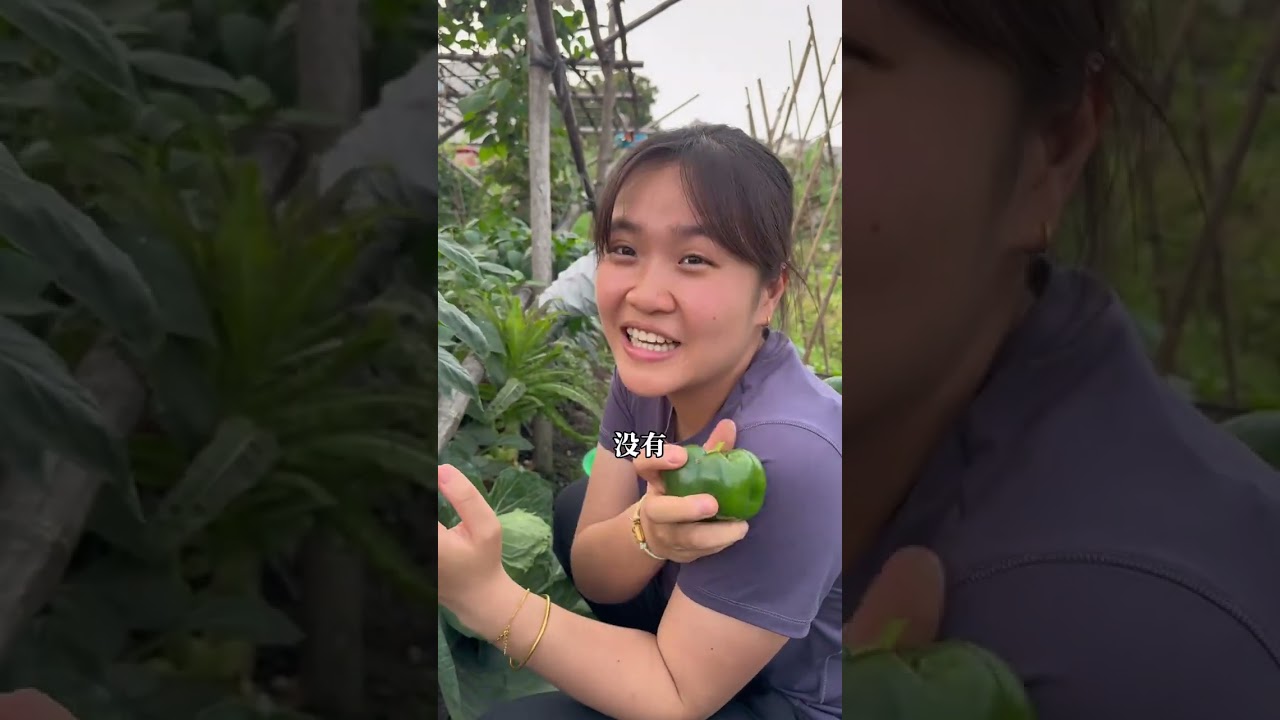 学长说要做从小吃到大的生腌蒜，大家一起去田里拔蒜，学长妈妈新买的鸭13块一只，拿回家一看结果鸭脖子都是歪的，一年四季地里面都是硕果累累，每天都能来摘太幸福了，拿蒜回来腌制期待几天后的蜕变……