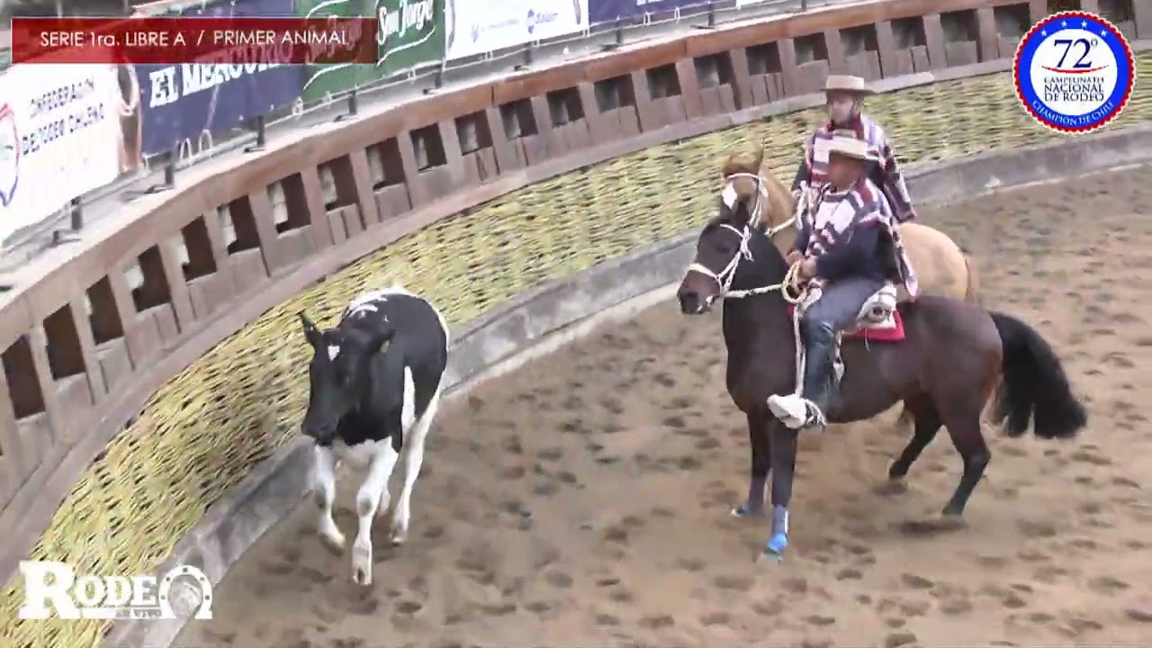 Serie Libre 1era A / 72° Campeonato Nacional de Rodeo