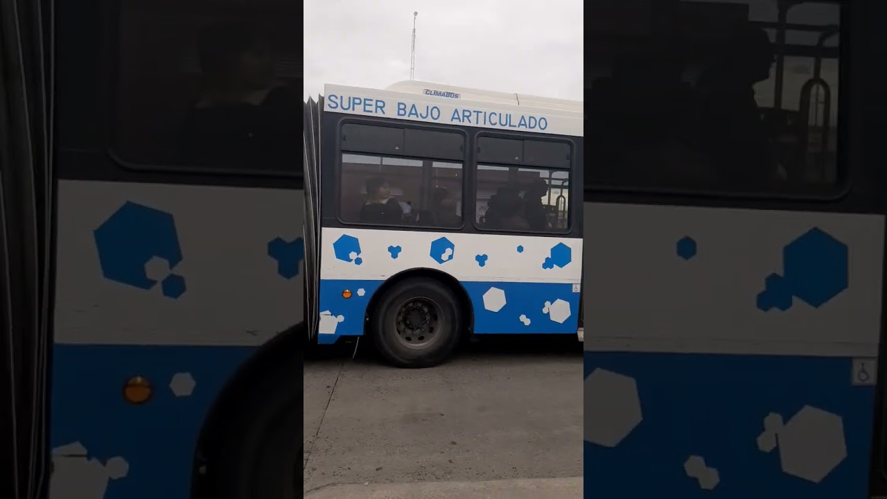 Linea 21 int. 2141 (Articulado)