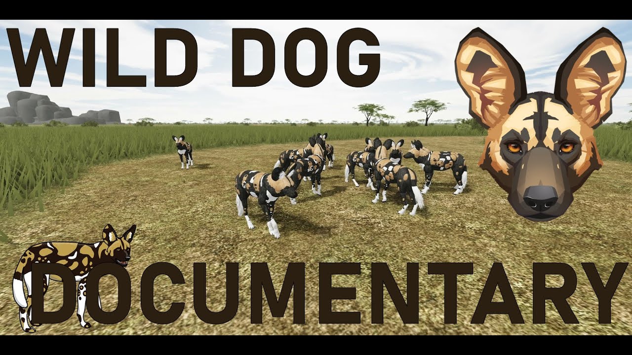 Roblox - Testing A | WILD DOG DOCUMENTARY