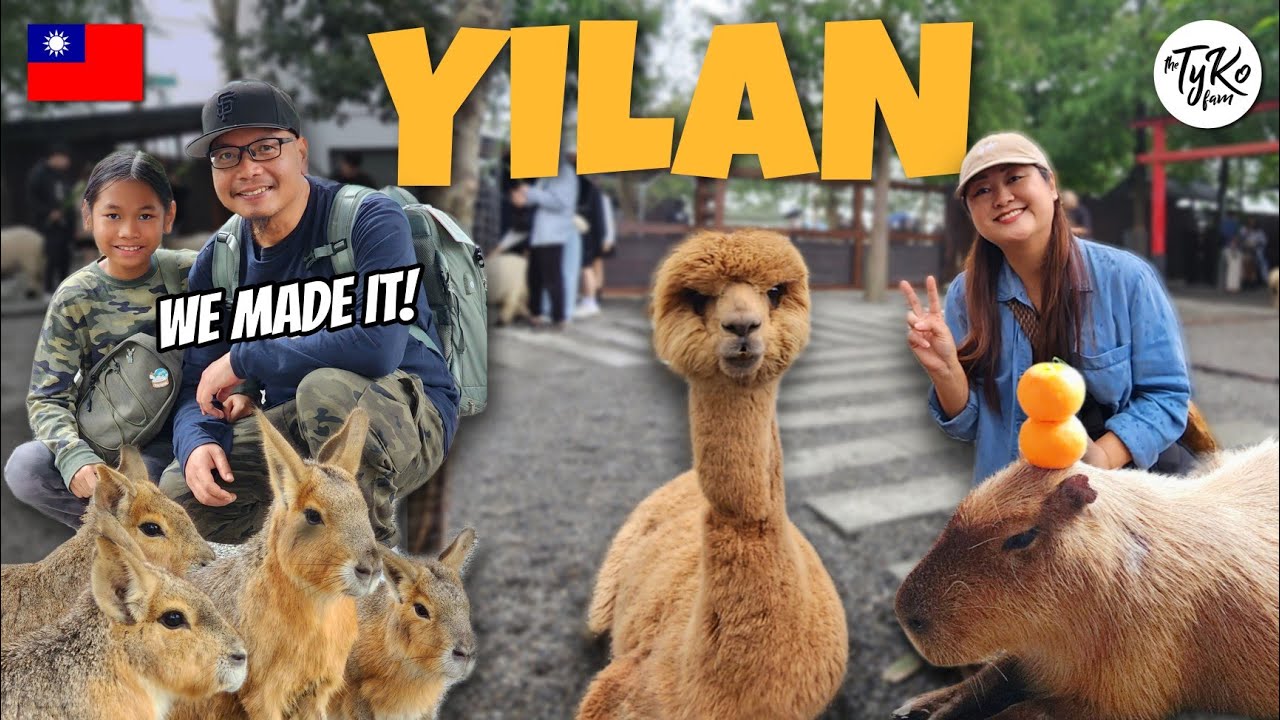 🇹🇼 Countryside Adventure to YILAN Taiwan! Zhang Mei Ama Farm 🦙 (travel vlog) | THE TYKO FAM