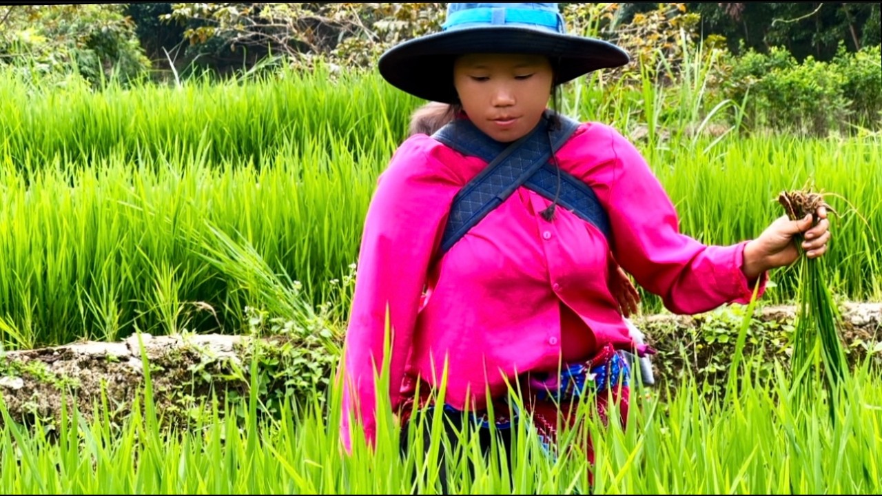 single mother working in the fields