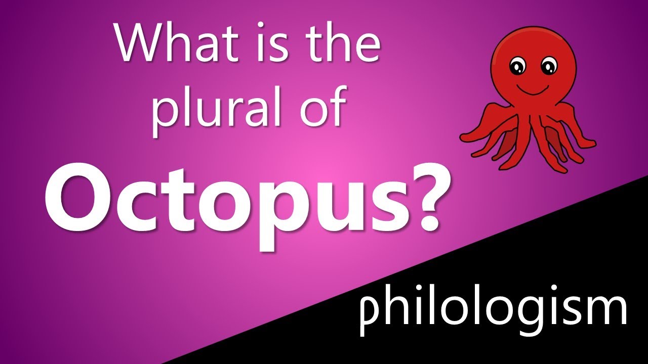 What is the plural of Octopus?