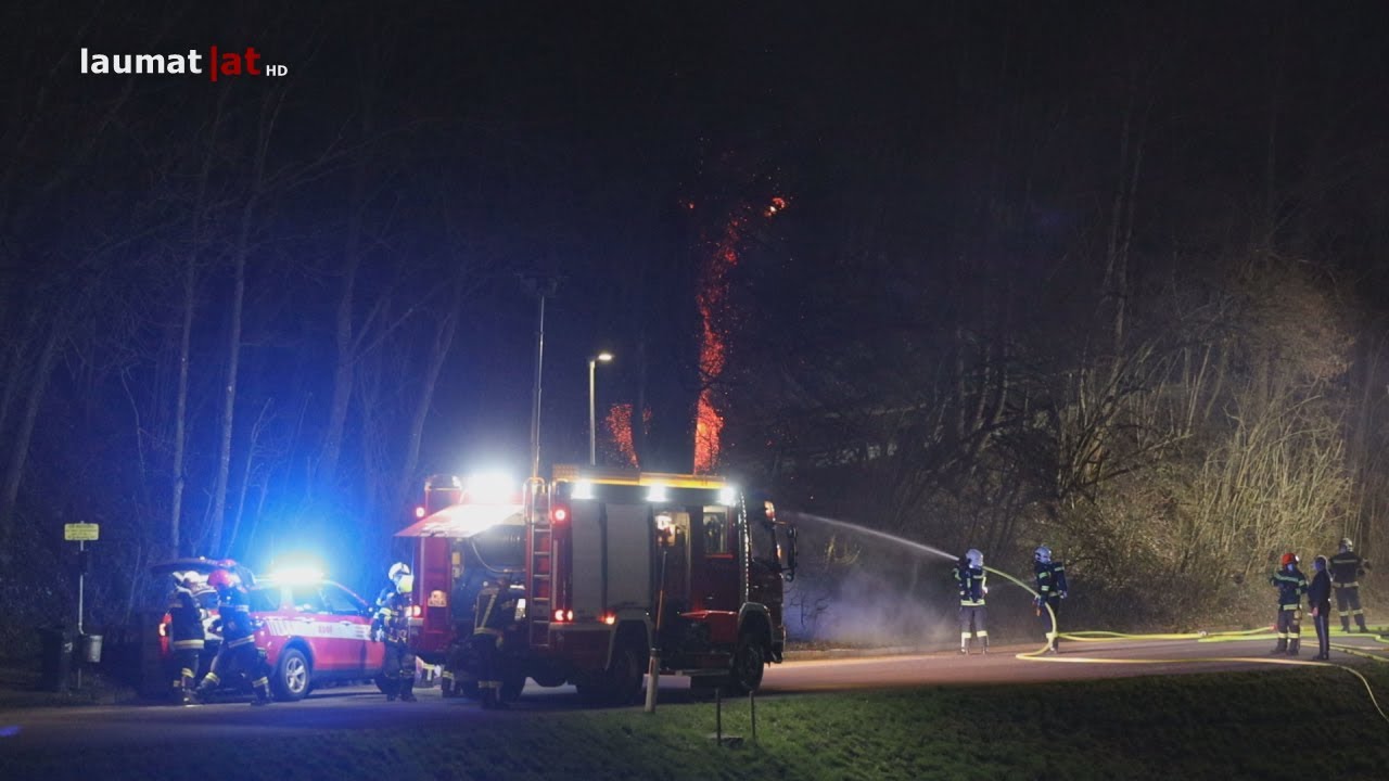 Schwieriger Löscheinsatz bei Brand eines Baumes in Thalheim bei Wels