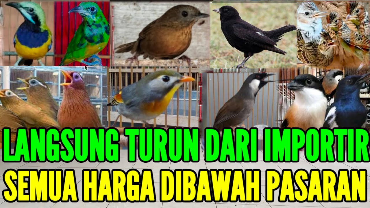 🔴 DIJAMIN HARGA DIBAWAH PASARAN FULL STOKNYA SPESIAL WEEKEND 0838-7553-6945