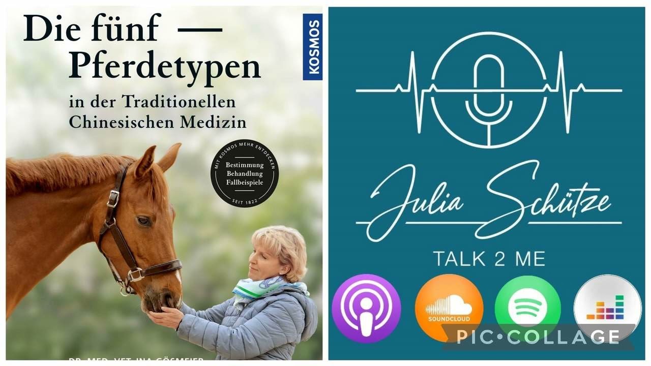 Die 5 Pferde - Typen in der TCM; Talk2Me #130/1