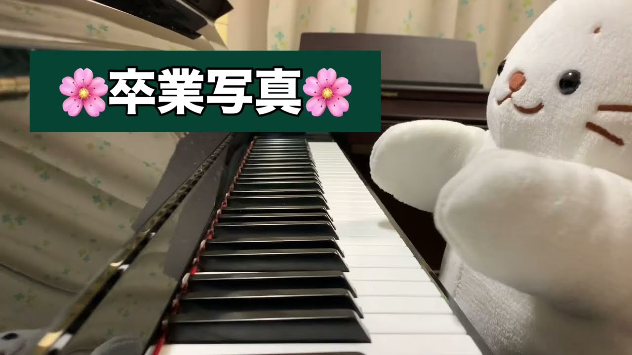 しろたん　ピアノ　卒業写真を弾いてみた【うにうにこ】