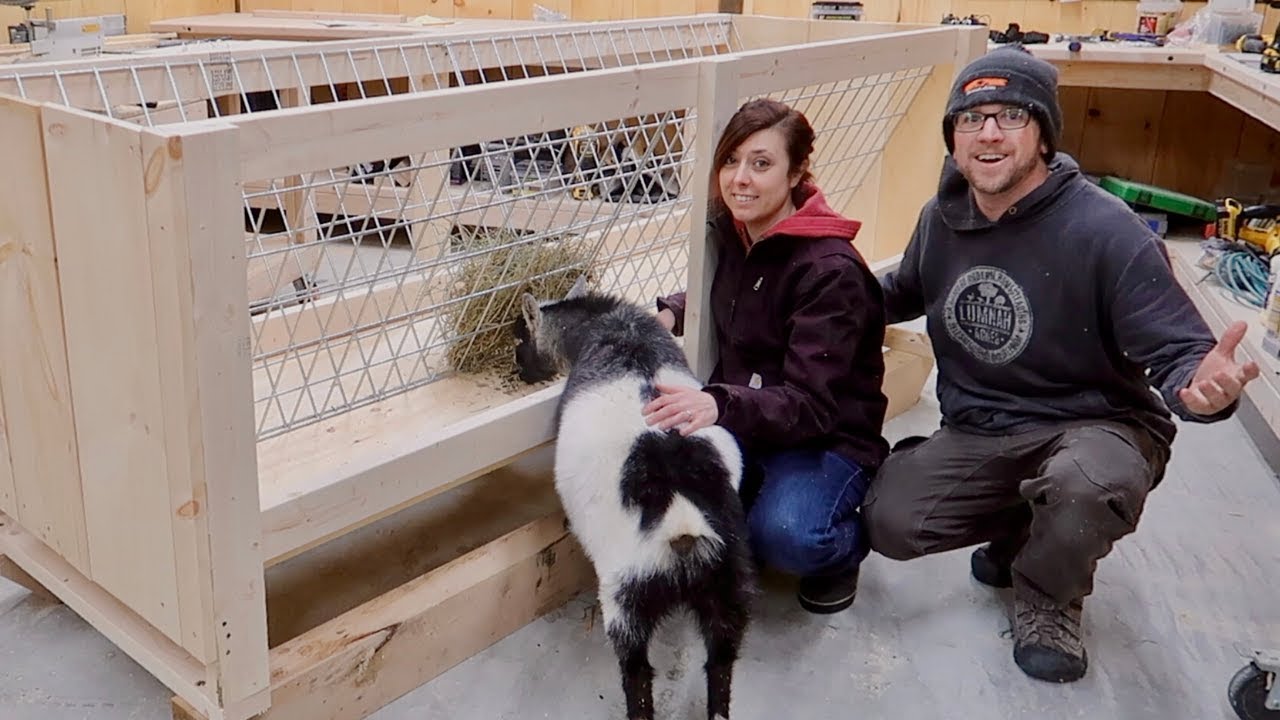 Building the ULTIMATE DIY Goat Hay Feeder this One's going to SAVE us $100s (i hope)