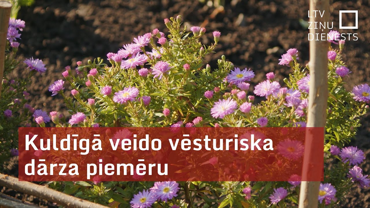 Kuldīgā veido vēsturiska dārza piemēru