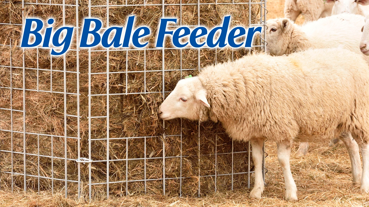 Big Bale Feeder