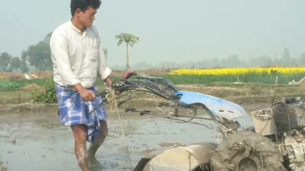 লোহার চাকা ছাড়া মিনি পাওয়ার টিলার দিয়ে বরো ধানের জমি চাষ করা হচ্ছে mini power tiller 10hp disel