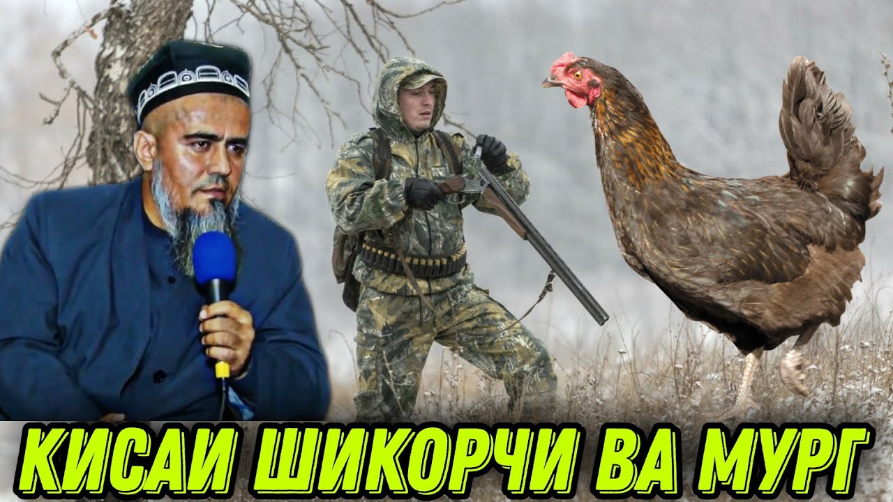 АЧОИБ КИСАИ ИБРАТАНГЕЗ ШИКОРЧИ ВА МУРГ! ДОМУЛЛО АБДУРАХИМ НАВ 2021