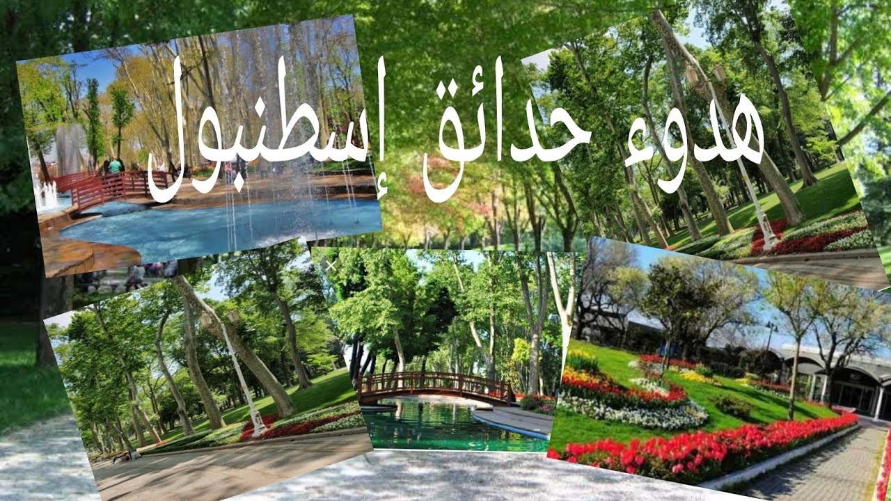 هدوء حدائق إسطنبول