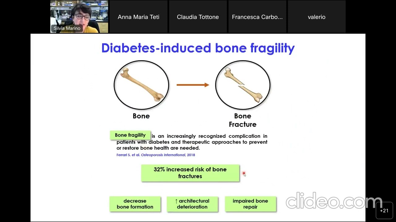 - Reversal of the diabetic bone signature with anabolic therapies in mice -