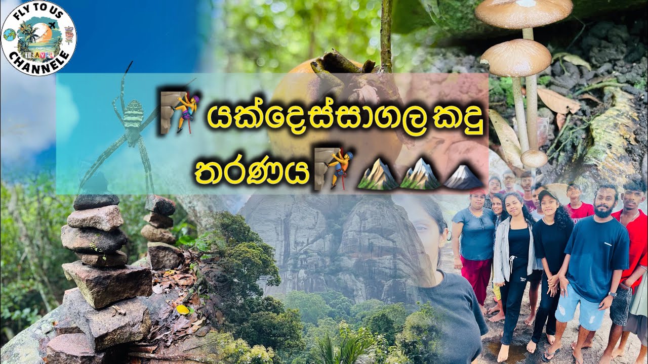 හිතුවට වඩා අමාරු යක්දෙස්සාගල නගින්න යං Yakdessagala hike 🧗&zwj;♂️⛰🧗&zwj;♀️🏔#travel#srilankatravel#funny#vira