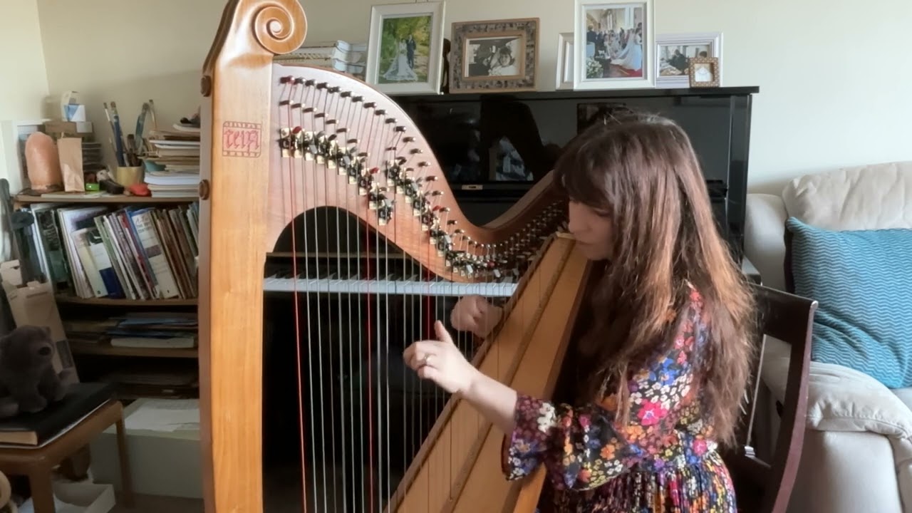 Love Story - Taylor Swift (harp cover)
