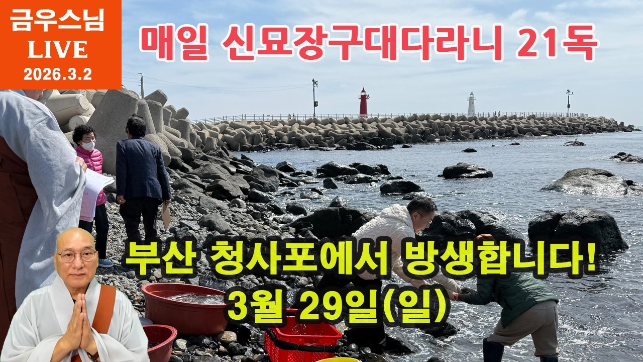 [금우스님 라이브 #1832 ]  반야법당 정기방생 안내 l 매일 저녁   금우스님과 신묘장구대다라니 21독 함께 해요 l  2026.3.2
