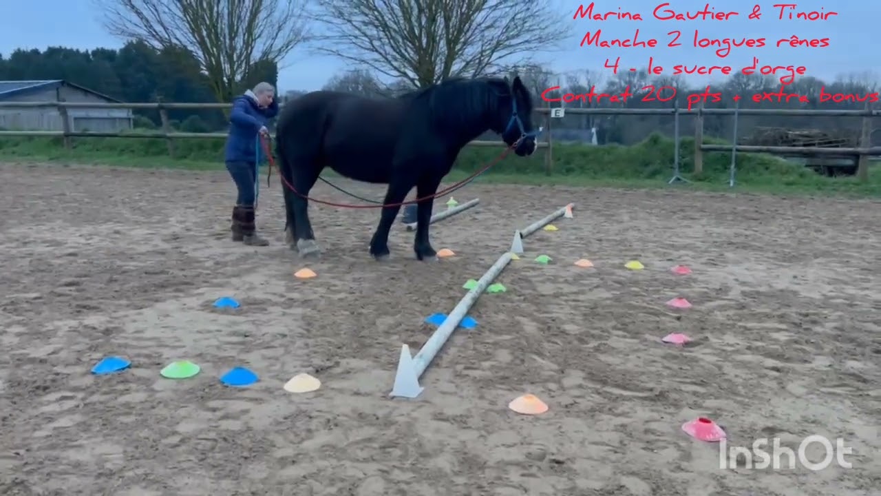 Equifeel caval go / Marina Gautier & Ti'noir/ longues-rênes,  manche 2