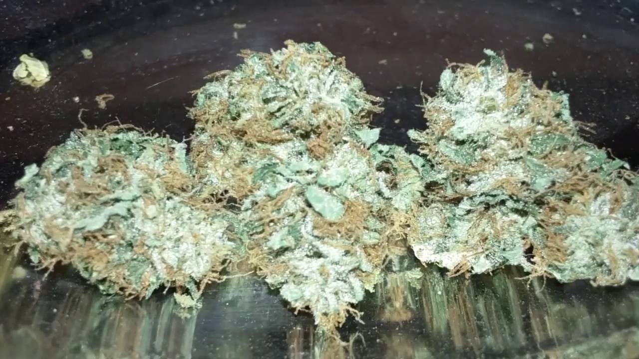 Late Night Review SK White Widow