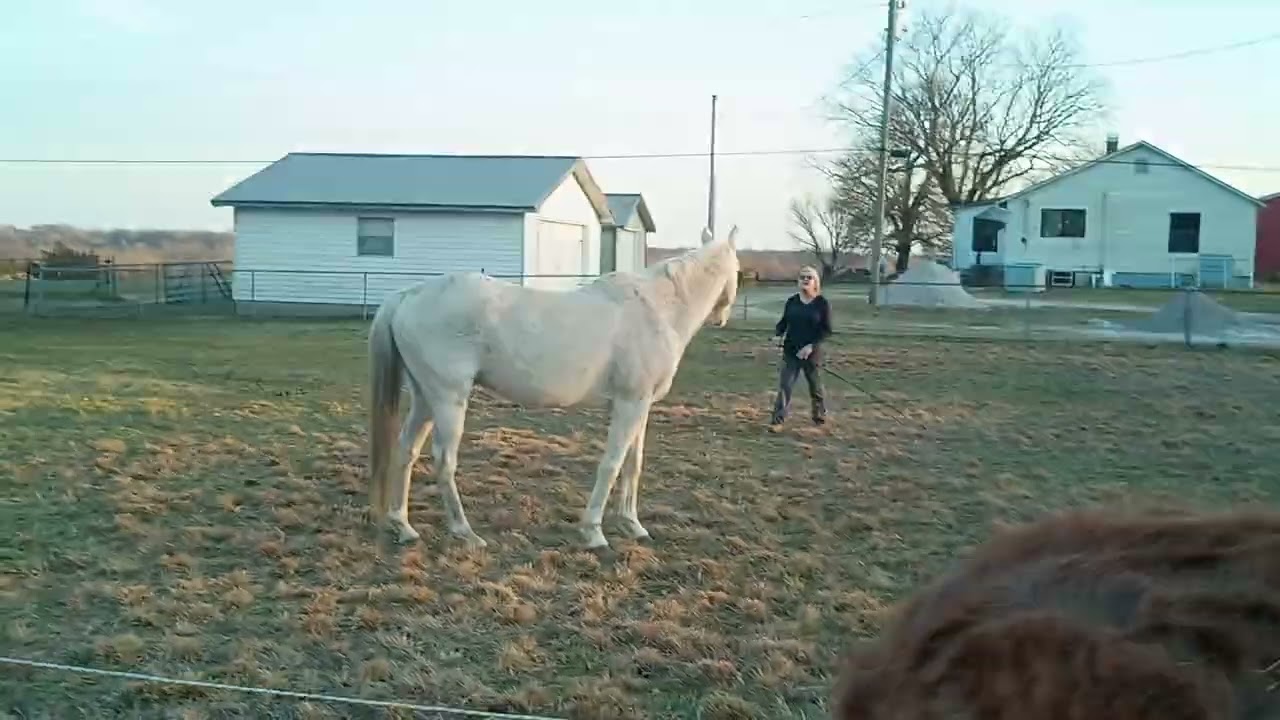 First video of Duee and Deb's journey