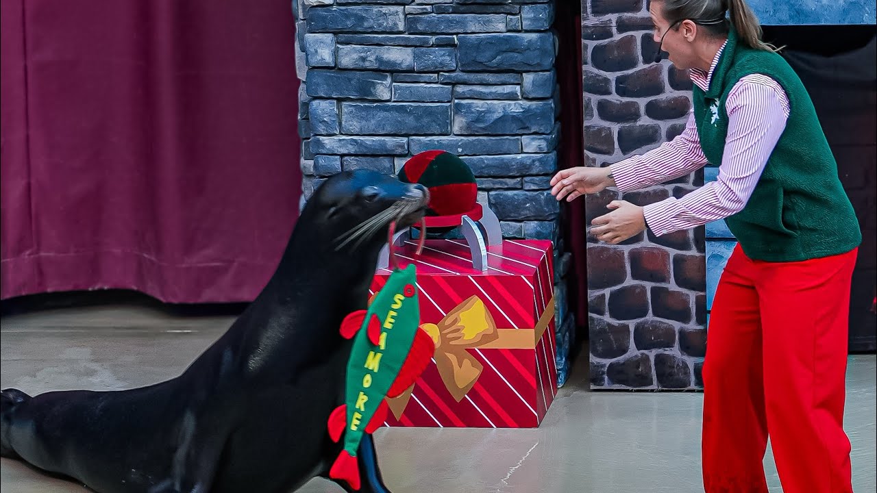 The First All NEW Clyde & Seamore's Countdown to Christmas at SeaWorld Orlando