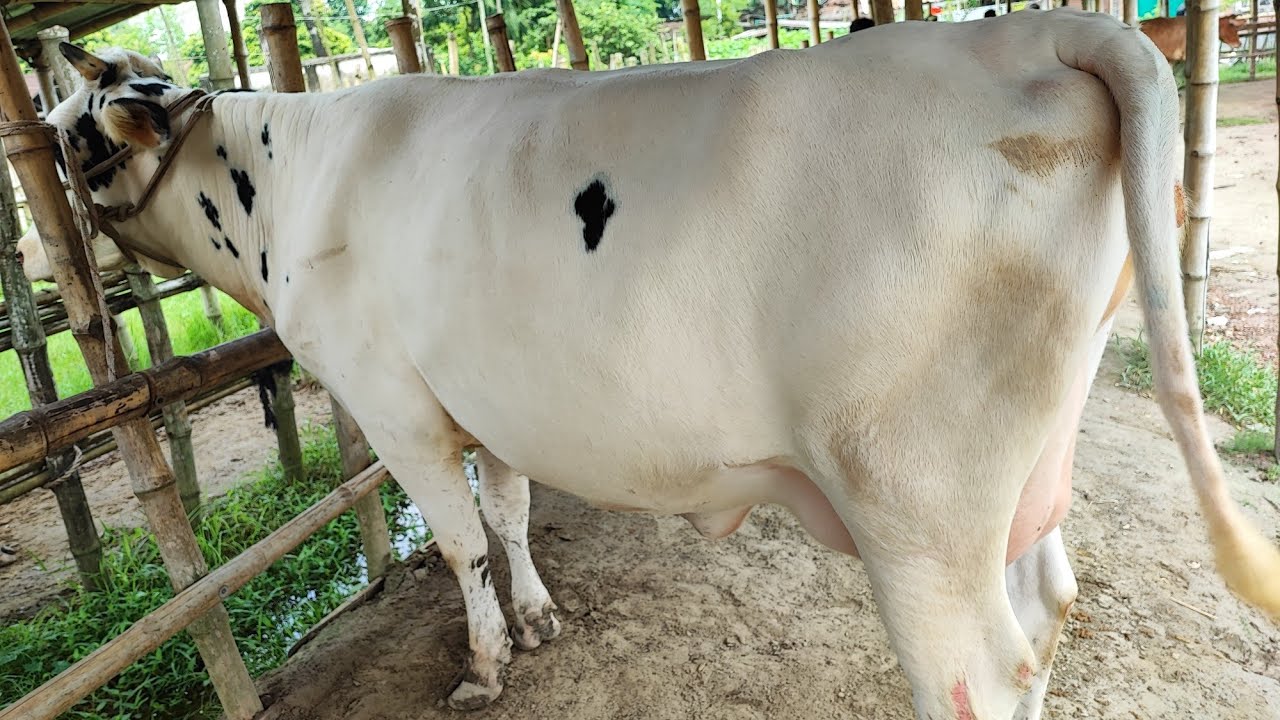 ১৬ সেপ্টেম্বর, ২০২৫