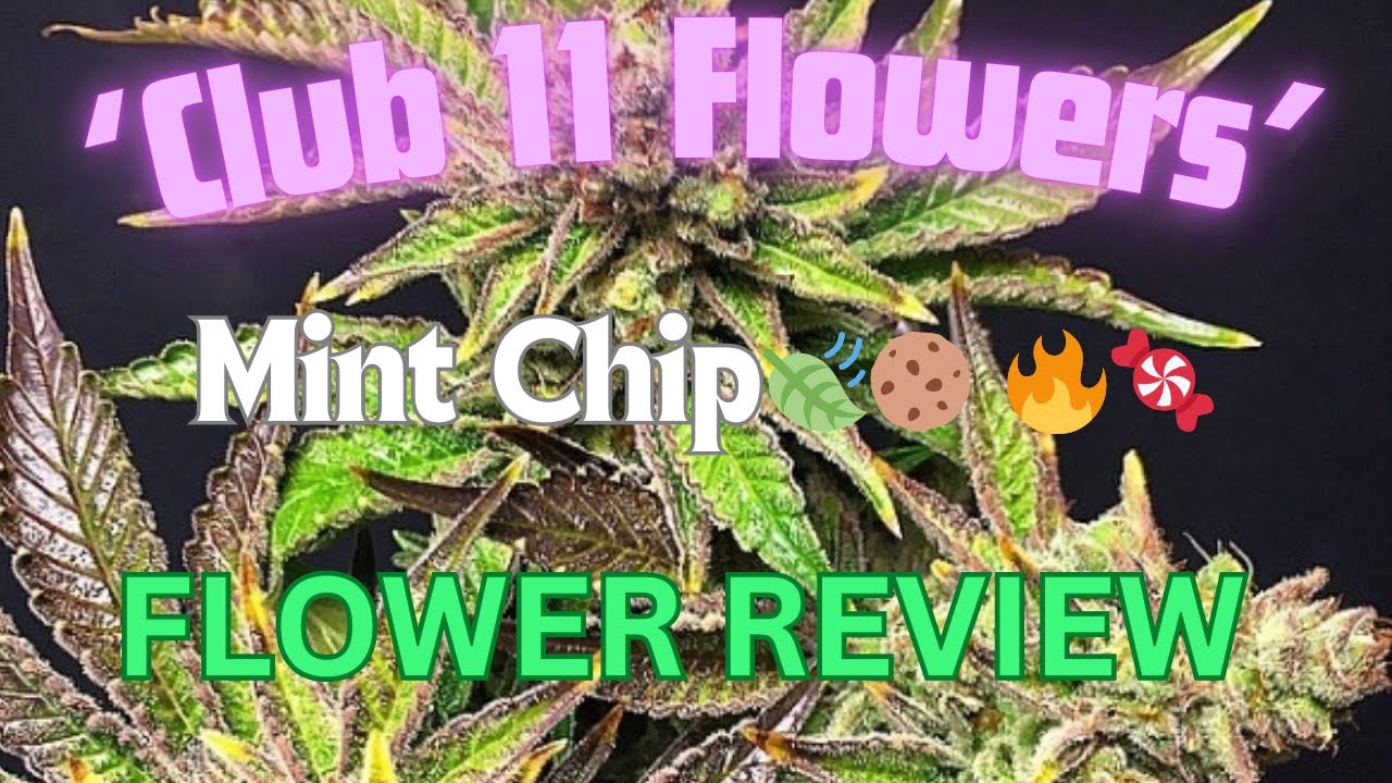 &lsquo;Club 11 Flowers&rsquo; Ft. Mint Chip strain